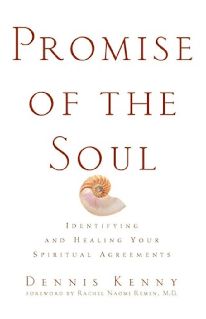 Screenshot of the book cover for Promise of the Soul. The cover is white with a photo of an orange, spiraling seashell. Text on the cover reads "identifying and healing your spiritual agreements. Dennis Kenney. Foreword by Rachel Naomi Remein, M.D.